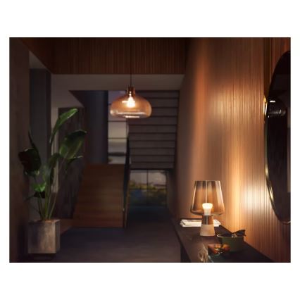 2er-Set dimmbare Philips Hue WHITE LED-Lampen E27/9,5W/230V 2700K