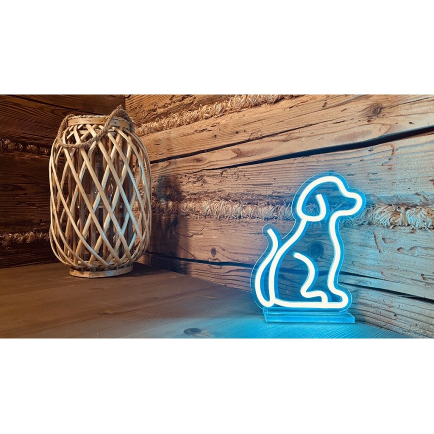 2Kids Toys - LED-Neon-Tischdekoration LED/5W/USB Hund