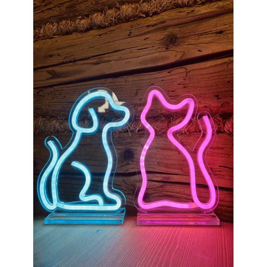 2Kids Toys - LED-Neon-Tischdekoration LED/5W/USB Katze
