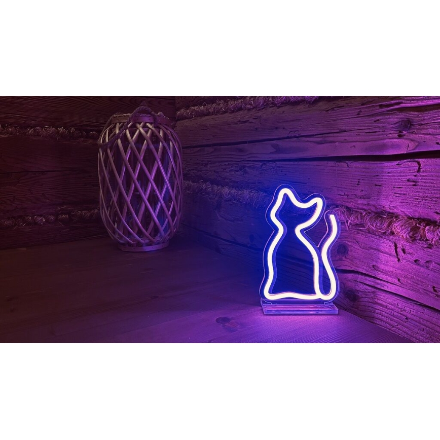 2Kids Toys - LED-Neon-Tischdekoration LED/5W/USB Katze