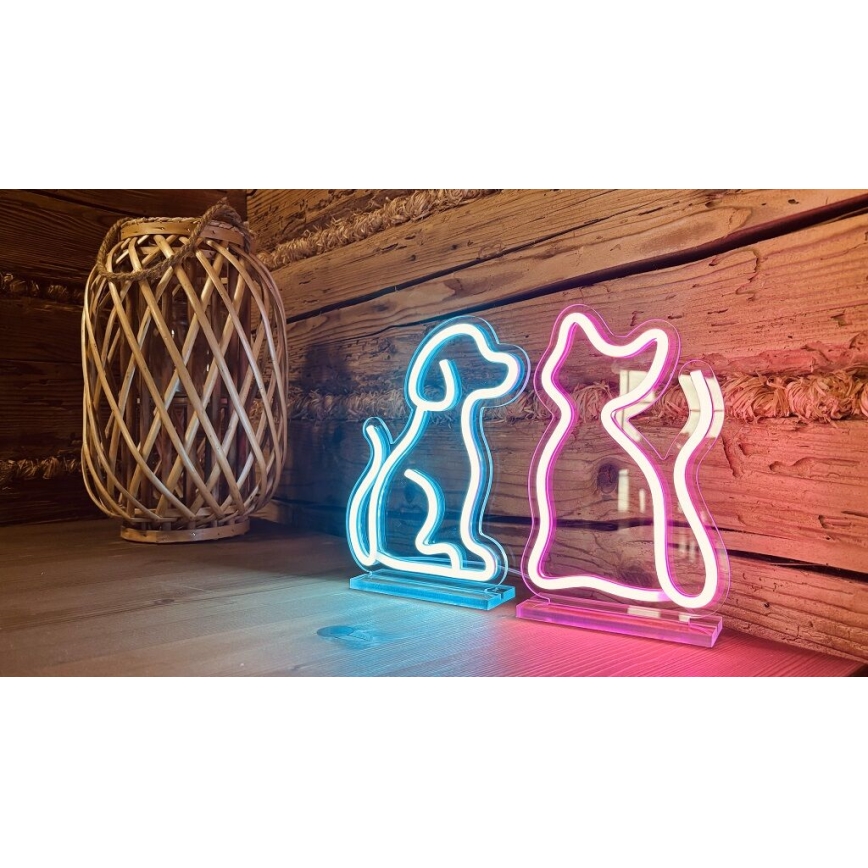 2Kids Toys - LED-Neon-Tischdekoration LED/5W/USB Katze