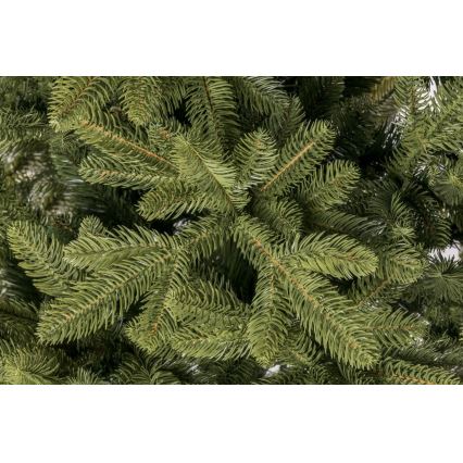 3D-Weihnachtsbaum 180 cm Fichte