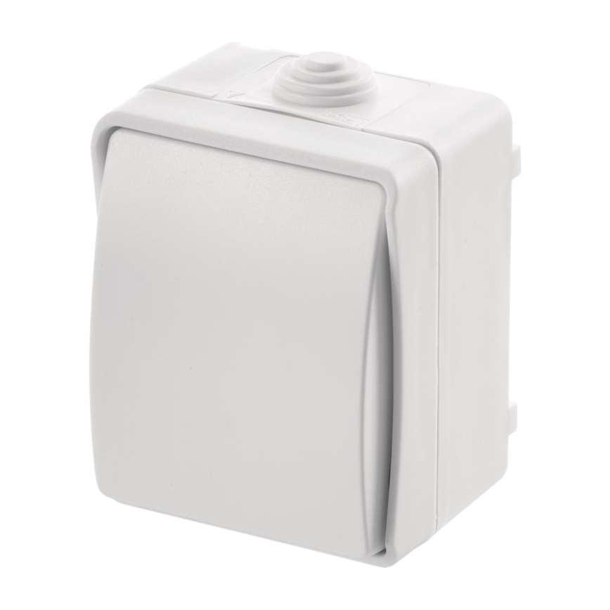 AC Hausschalter 250V/10A IP54