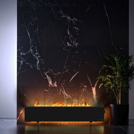 AENO - Intelligenter elektrischer Direktheizer/Konvektor 1000/2000W schwarz