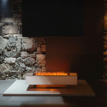 AENO - Smartes elektrisches Direktheizgerät/Konvektor 1000/2000W weiß