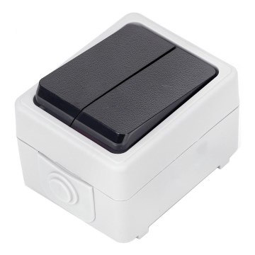 Aigostar - 2-Tasten-Wechselschalter, Schutzart IP54