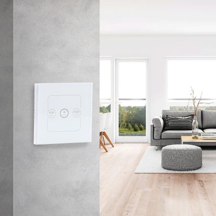 Aigostar - Intelligenter Schalter zur Steuerung von Jalousien 230V Wi-Fi Tuya