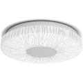 Aigostar - LED-Deckenleuchte LED/12W/230V 3000K d 26cm