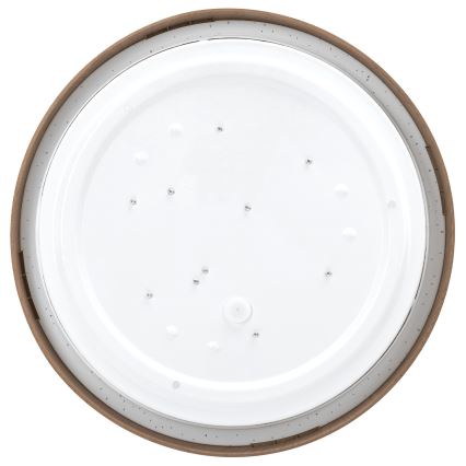 Aigostar - LED-Deckenleuchte LED/12W/230V 6500K d 26,3 cm