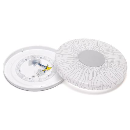 Aigostar - LED-Deckenleuchte LED/12W/230V 6500K d 26cm