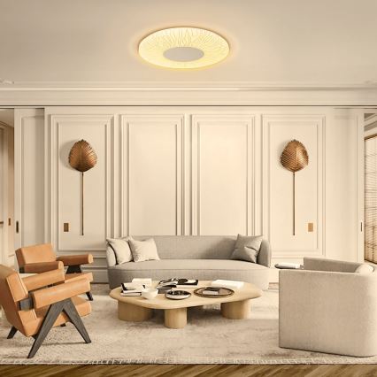 Aigostar - LED-Deckenleuchte LED/20W/230V 3000K d 33cm
