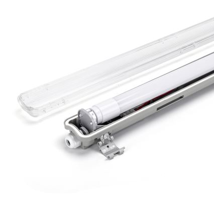 Aigostar - LED-Hochleistungs-Leuchtstofflampe 1xG13/9W/230V 4000K 66,6 cm IP65