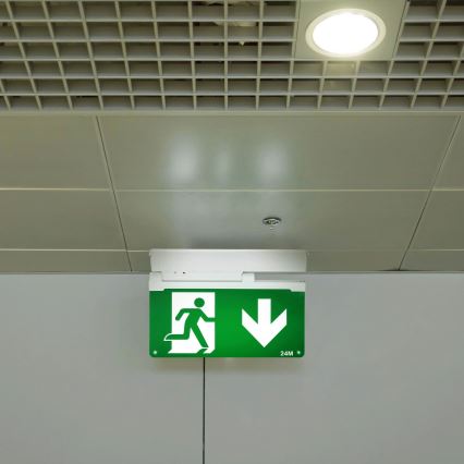 Aigostar - LED-Notleuchte EMERGENCY EXIT LED/3,6W/230V 6500K 500mAh
