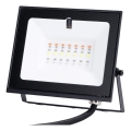 Aigostar - LED RGB dimmbarer LED-Strahler/10W/230V IP65 + Fernbedienung