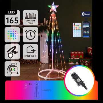 Aigostar - LED RGBICW Intelligente Weihnachtsdekoration für den Außenbereich MESH 165xLED/230V 1,8m IP44 + Fernbedienung