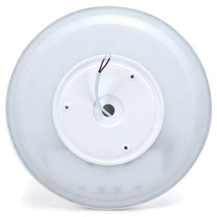 Aigostar - LED RGBW dimmbare Deckenleuchte MESH LED/24W/230V 3000-6500K Weiß + Fernbedienung