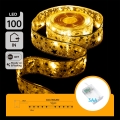 Aigostar - LED-Weihnachtslichterkette 100xLED/3xAA 10 m warmweiß gold