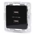 Aigostar - rahmenlose USB-Steckdose 2x USB-A schwarz