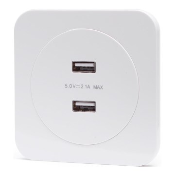 Aigostar - USB-Netzsteckdose mit Rahmen, 2x USB-A, weiß
