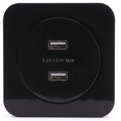 Aigostar - USB-Steckdose mit Rahmen, 2x USB-A, schwarz
