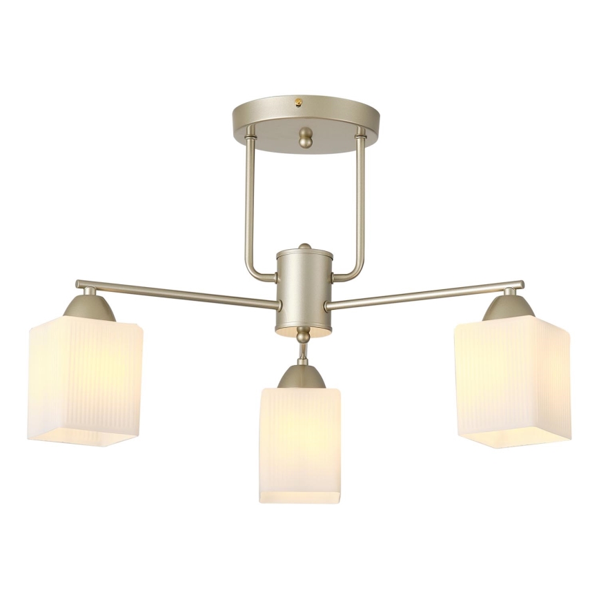 Anbauleuchte 3xE27/60W/230V