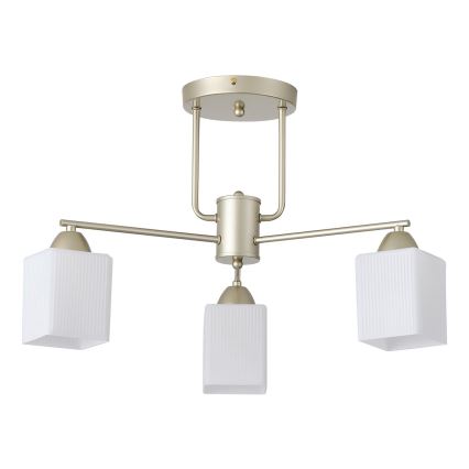 Anbauleuchte 3xE27/60W/230V