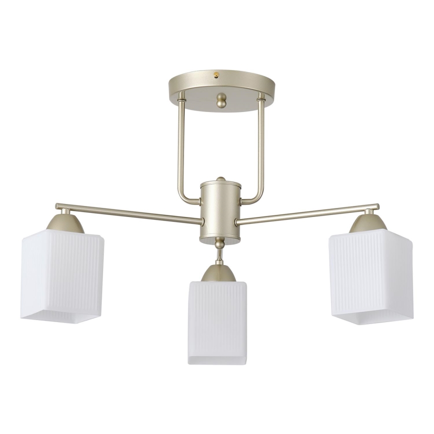 Anbauleuchte 3xE27/60W/230V