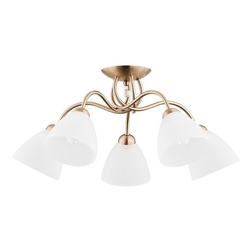 Anbauleuchte AMARILLO 5xE27/15W/230V golden