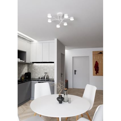Anbauleuchte HALO 6xGX53/8W/230V weiß