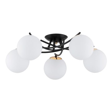 Anbauleuchte SAVI 5xE14/10W/230V schwarz/golden