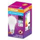 Antibakterielle LED-Glühbirne A75 E27/10W/230V 6500K - Osram
