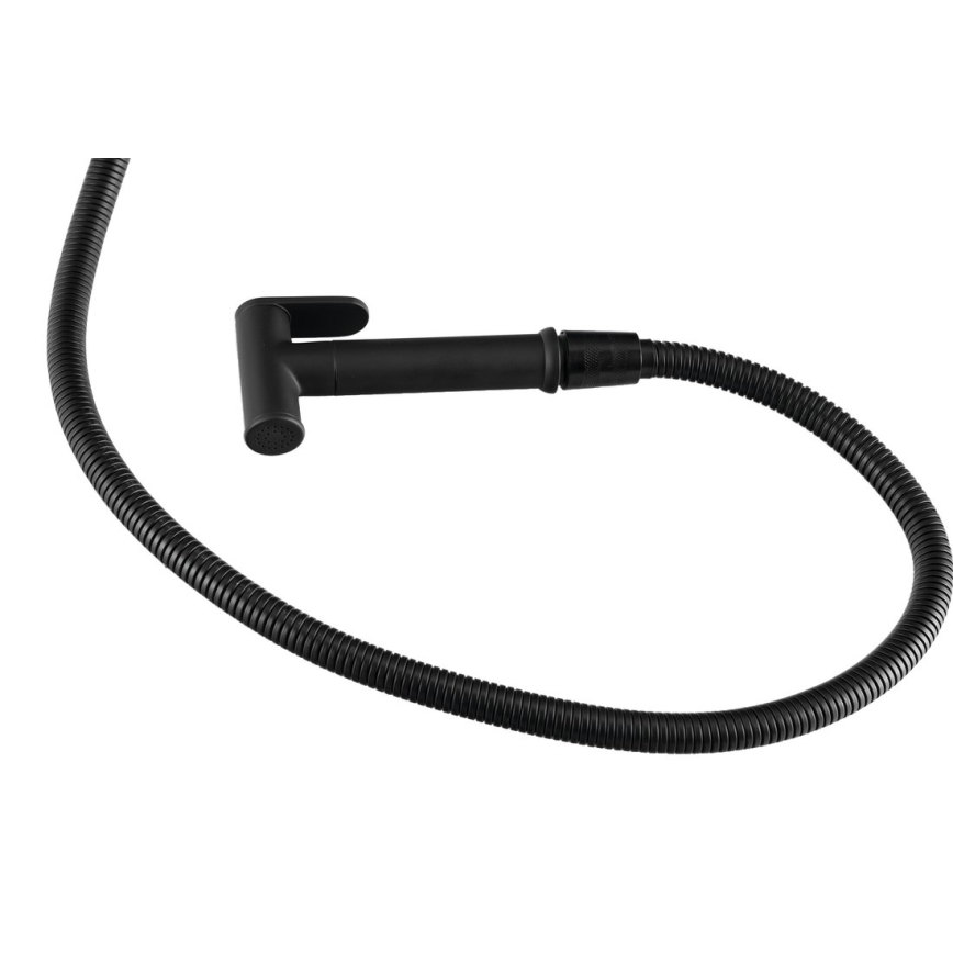 Aqualine - Bidetarmatur mit Brause für Unterputzmontage matt schwarz