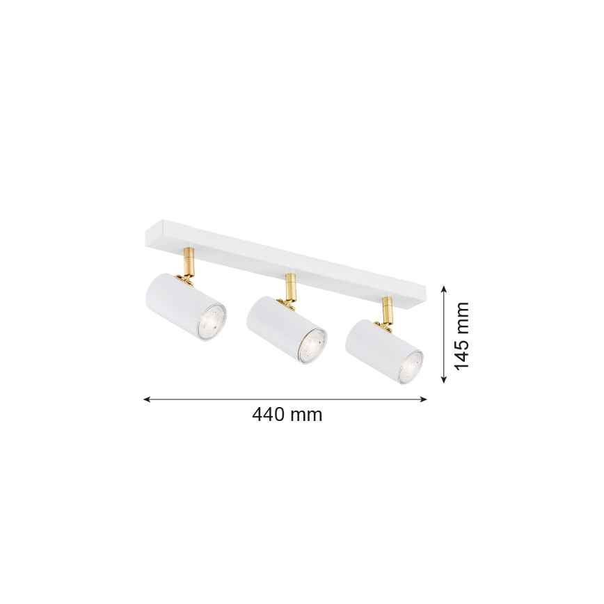 Argon 1475 - Spotlight LAGOS 3xGU10/5W/230V weiss/gold