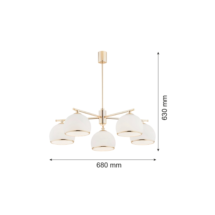 Argon 2088 - Kronleuchter an Stange MARBELLA 5xE27/15W/230V Messing