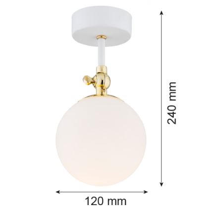 Argon 4002 - Badezimmer Deckenleuchte LATINA 1xE14/7W/230V IP44 weiß/gold