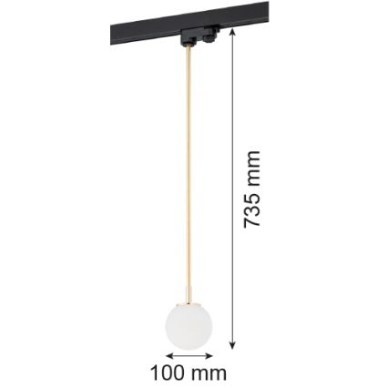 Argon 4308 - Stangen-Kronleuchter do lištového systému BANG 1xG9/6W/230V messing