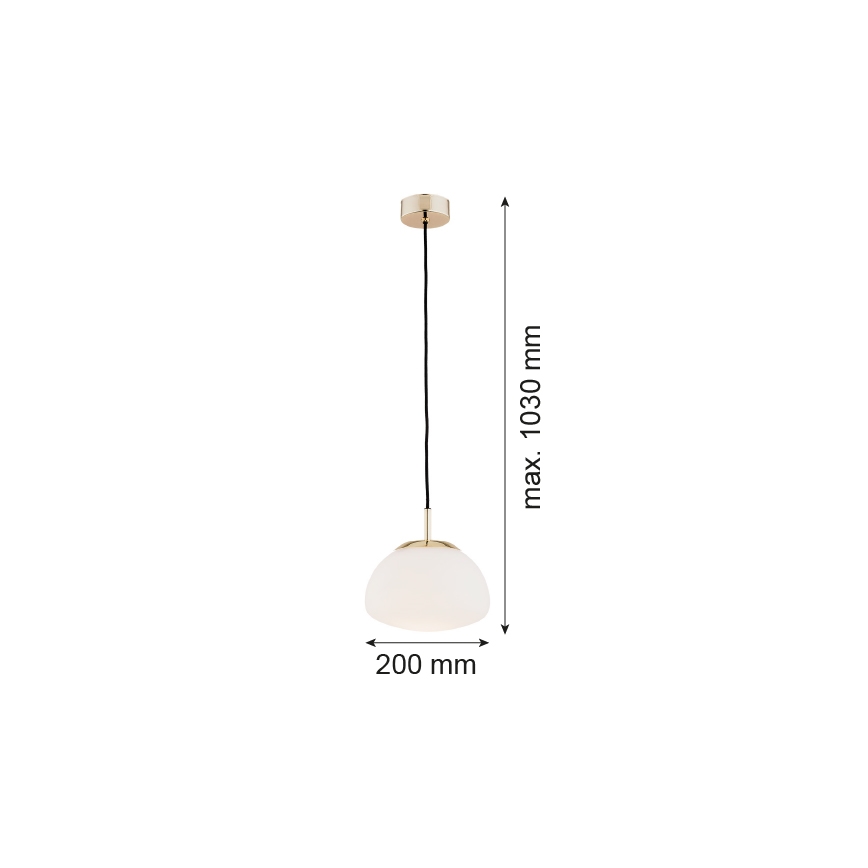 Argon 4352 - Hängeleuchte TRINI 1xE27/15W/230V gold