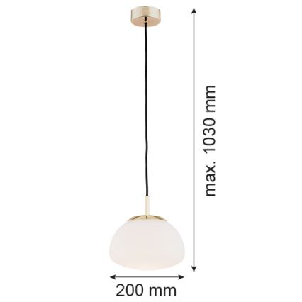 Argon 4352 - Hängeleuchte an Kabel TRINI 1xE27/15W/230V Ø 20 cm goldfarben