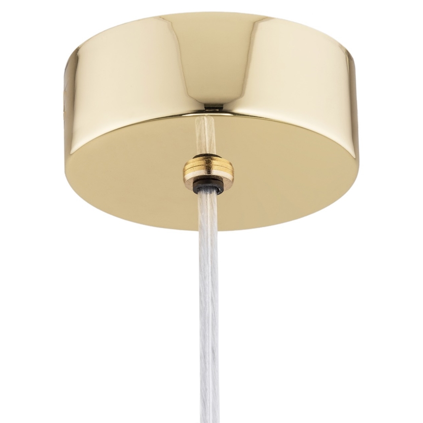 Argon 4696 - Hängeleuchte OAKLAND 1xG9/6W/230V
