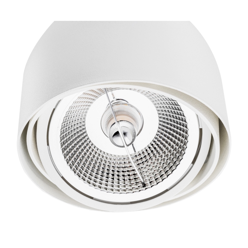 Argon 4710 - Spotlight GARLAND 1xGU10-AR111/12W/230V weiß