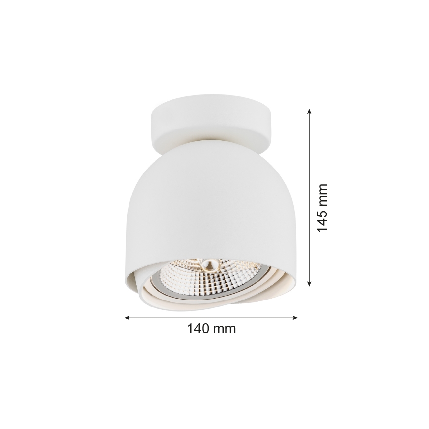 Argon 4710 - Spotlight GARLAND 1xGU10-AR111/12W/230V weiß