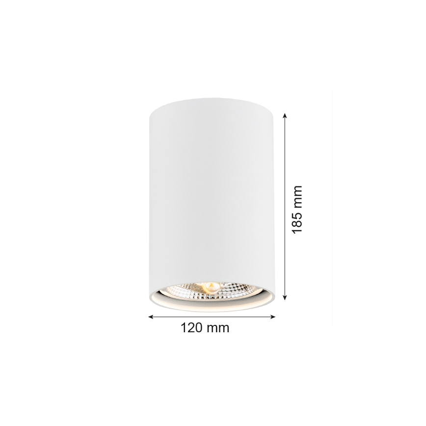 Argon 4910 - Spotlight TUBO AR111 1xGU10/15W/230V weiß