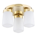 Argon 6165 - Anbauleuchte PASADENA 3xE27/15W/230V gold/weiß