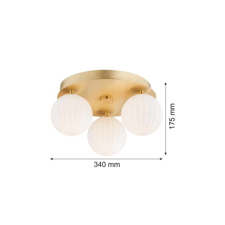Argon 6305 - Deckenleuchte PALOMA 3xE14/7W/230V golden/weiß