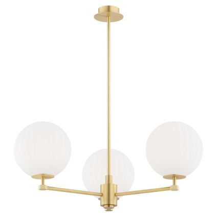 Argon 6307 - Deckenleuchte an Stange PALOMA 3xE14/7W/230V golden/weiß