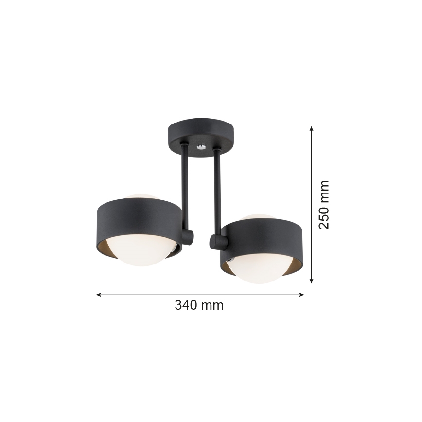 Argon 7089 - Kronleuchter an einer Stange MASSIMO PLUS 2xG9/6W/230V schwarz