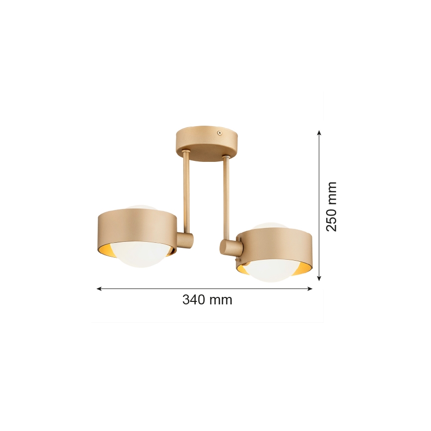 Argon 7215 - Badezimmer-Deckenleuchte an Stange MASSIMO PLUS 2xG9/6W/230V IP44 golden