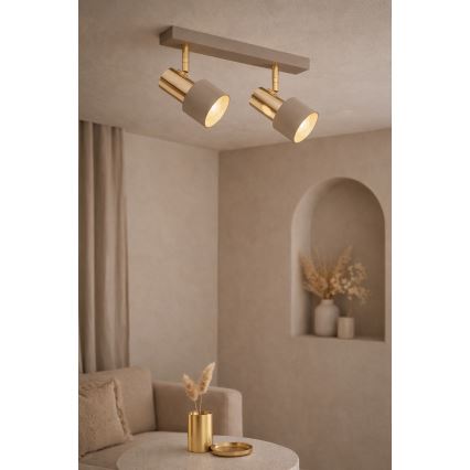 Argon 7299 - Spotleuchte DOR 2xE27/15W/230V gold/beige