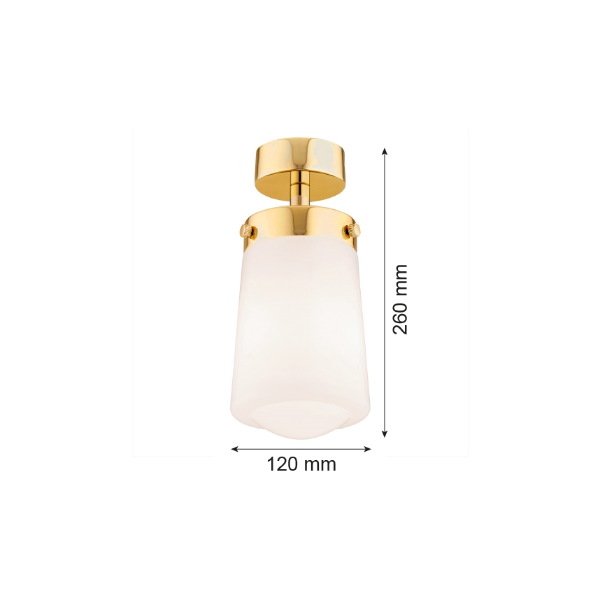 Argon 8005 - Anbauleuchte PASADENA 1xE27/15W/230V gold/weiß