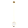 Argon 8257 - Pendelleuchte mit Kabelabhängung SATURNIA 1xG9/6W/230V goldfarben